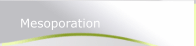 Mesoporation (NEU!)